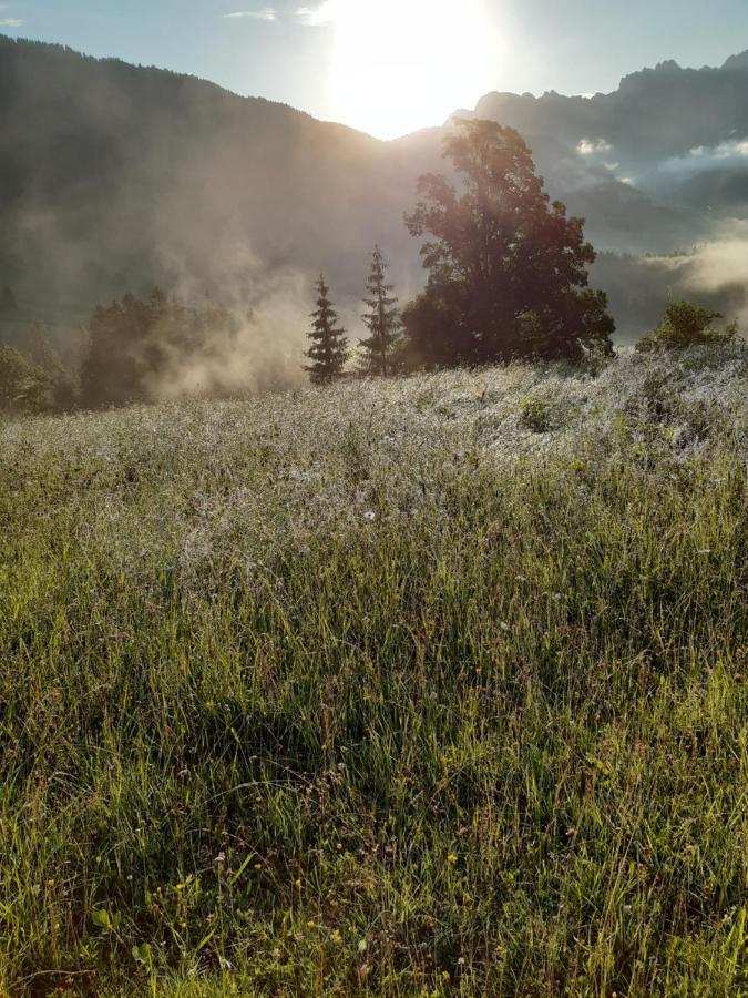 Reithgut Διαμέρισμα Sankt Martin am Tennengebirge Εξωτερικό φωτογραφία