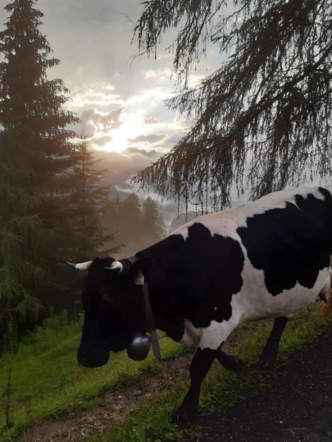 Reithgut Διαμέρισμα Sankt Martin am Tennengebirge Εξωτερικό φωτογραφία