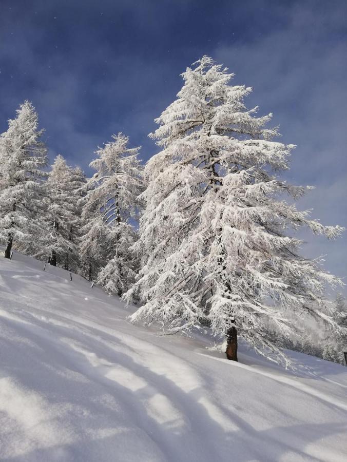 Reithgut Διαμέρισμα Sankt Martin am Tennengebirge Εξωτερικό φωτογραφία